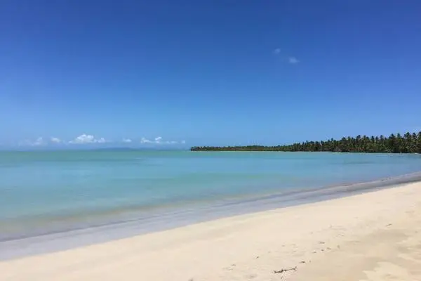 République Dominicaine : Hôtel Viva Miches By Wyndham