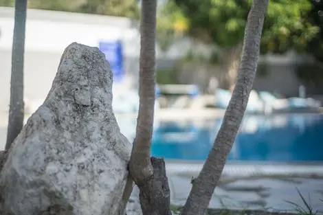 Rhodes : Hôtel Anika Studios