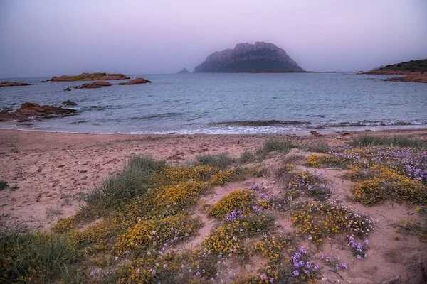 Sardaigne : Hôtel Ollastu