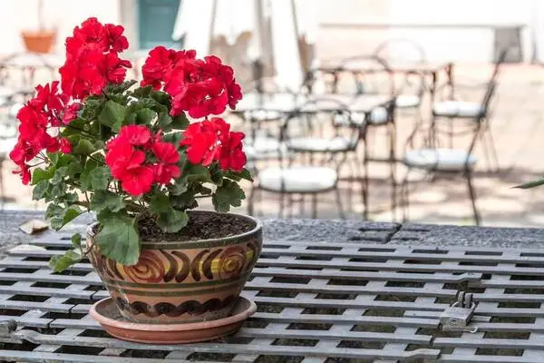 Sicile et Italie du Sud : Hôtel Etna Hotel