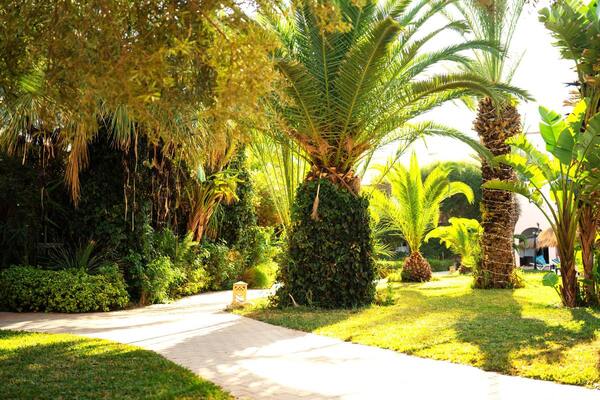 Tunisie : Hôtel Eden Yasmine Resort And Spa