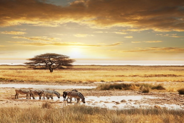 Circuit Afrique Du Sud Johannesbourg Grand Tour D Afrique Du Sud Vols Air France