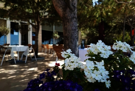 Hôtel Edart Hotel ALBANIE