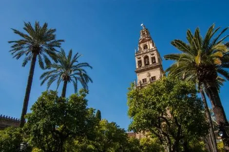 Circuit en Espagne : La Belle Andalouse malaga Andalousie