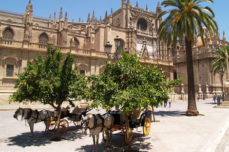 Seville Cathédrale