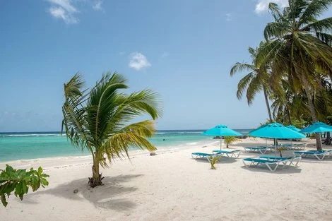 Hôtel The Sands Barbados saint_philip BARBADE