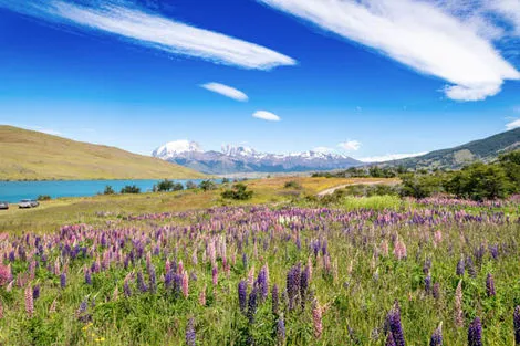 Torres del Paine