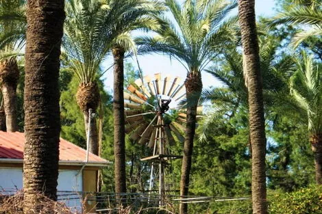 Autotour Chypre entre mer et montagne au départ Larnaca en 3*et larnaca Chypre