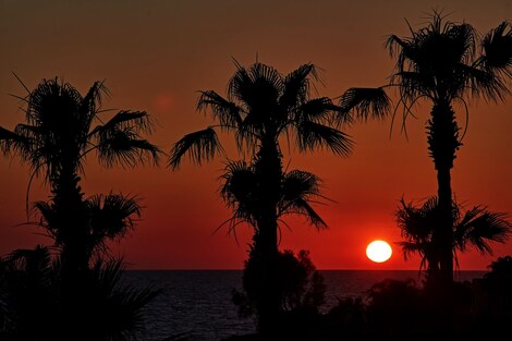 Hôtel Atlantica Golden Beach, Adults Only paphos CHYPRE