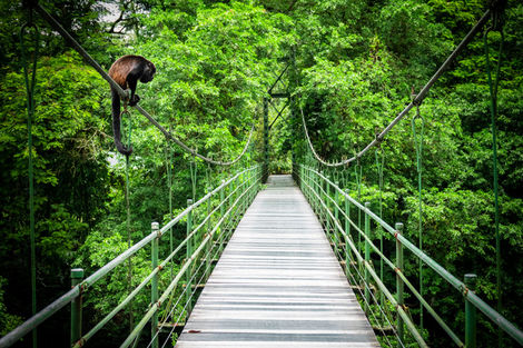 Passerelle Arenal