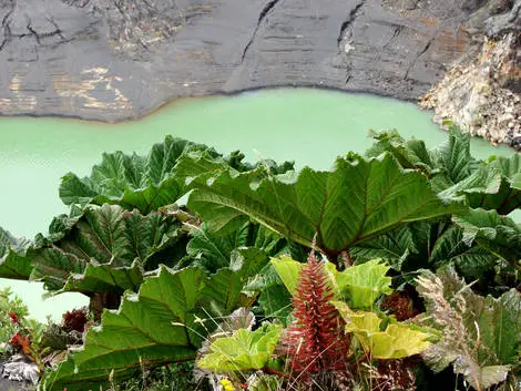 Volcan Irazu