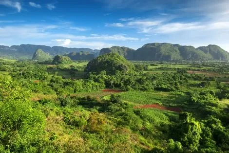 La Perle des Caraibes