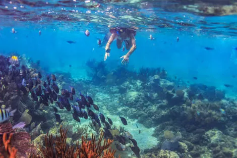 snorkeling