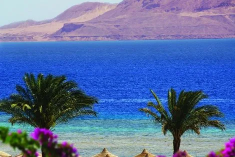 Hôtel Baron Resort Sharm El Sheikh sharm_el_sheikh EGYPTE