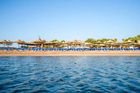 Hôtel Ivy Cyrene Sharm Resort (+ de 13 ans) sharm_el_sheikh Egypte