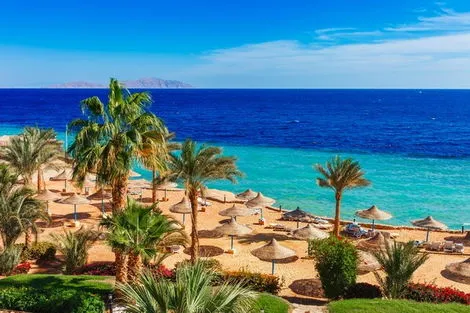 Egypte : Club Ôclub Experience Barcel��ó Tiran Sharm