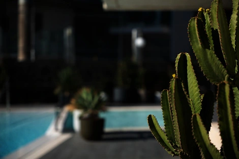 Hôtel El Palmar playa_del_ingles ESPAGNE
