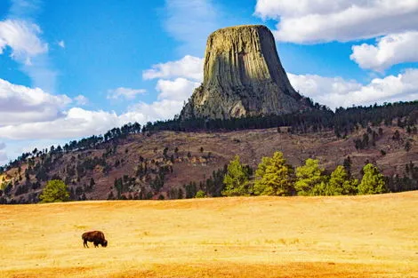 Devil's Tower