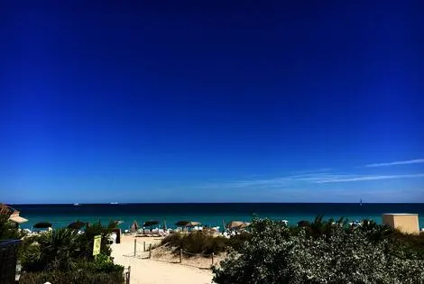 Hôtel Carillon Miami Wellness Resort miami ETATS-UNIS