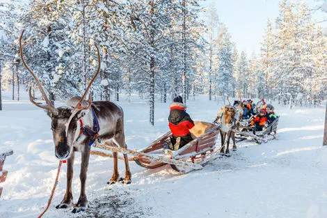 Finlande : Club Jumbo Yllaskaltio (activités incluses)