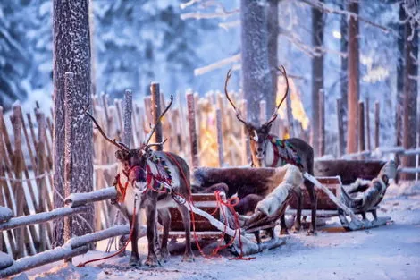 Finlande : Hôtel Séjour activités découverte fêtes de fin d'année à l'hôtel Levi Spa