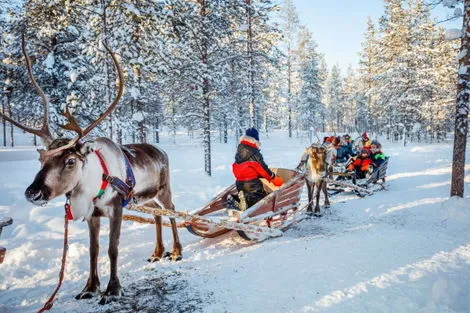 Circuit Laponie insolite : aurores boréales et igloo rovaniemi Finlande