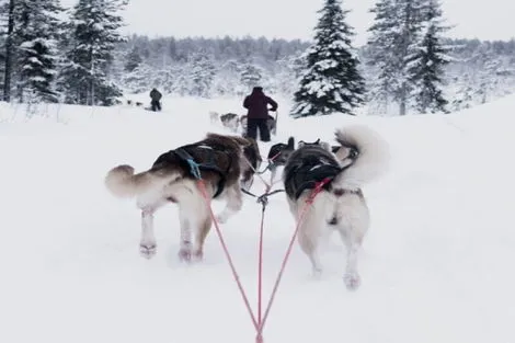 Circuit Rêves Arctiques : Expérience Santa et Igloo rovaniemi Finlande