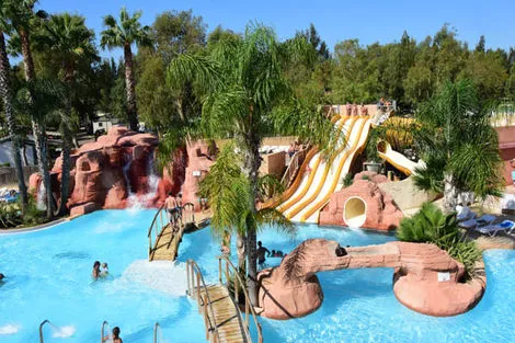 France Provence-Cote d Azur : Camping Les Palmiers