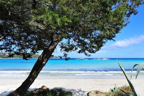 Hôtel Castell'verde porto_vecchio FRANCE