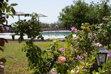 Hôtel Gardenia Hotel afandou GRECE
