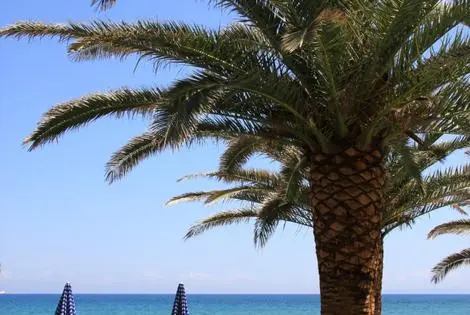 Hôtel Zakantha Beach argassi GRECE