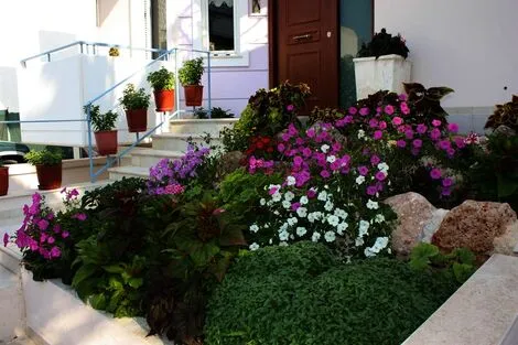 Hôtel Veggie Garden Athens B&b elliniko_argyroupoli GRECE