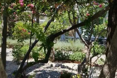 Hôtel George Beach Studios kolymbia GRECE