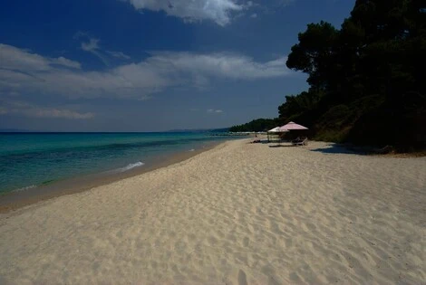 Hôtel Palladium kryopigi_halkidiki GRECE
