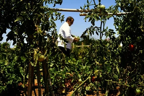 Hôtel Santo Pure Oia Suites & Spa santorin GRECE