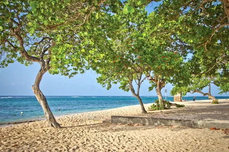 Résidence hôtelière Tropicale le_moule Guadeloupe