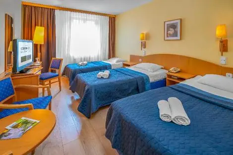 Hôtel Corvin Hotel Budapest Sissi Wing budapest HONGRIE