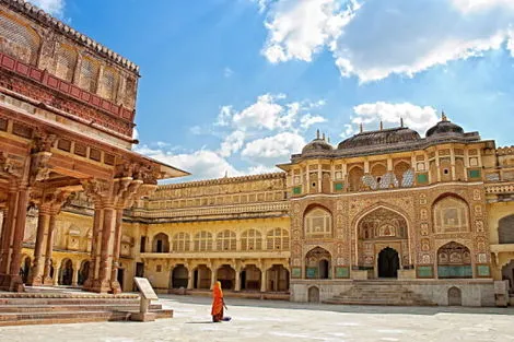 Circuit Tigres, forts et palais au Rajasthan delhi Inde