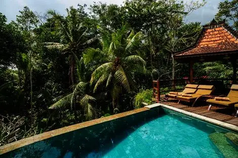 Hôtel Amatara Arya Ubud ubud INDONESIE