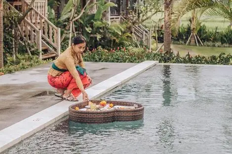 Hôtel Aswanaya Villas & Suite ubud INDONESIE