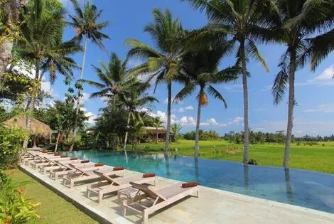 Hôtel Mathis Retreat ubud INDONESIE