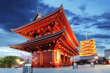 Circuit Charme du Japon d'Hier et d'Aujourd'hui, Kyoto et Tokyo en Liberté osaka Japon