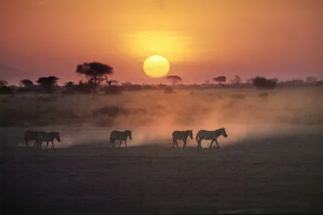 Amboseli