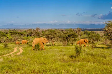 Amboseli