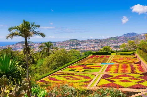 Circuit à Madère : L'île fleurie funchal Madère