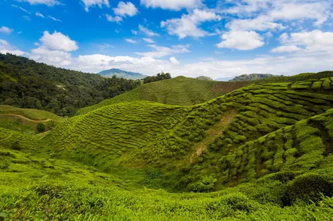 Circuit Road Trip en autonomie, sur la côte Ouest de la Malaisie kuala_lumpur Malaisie