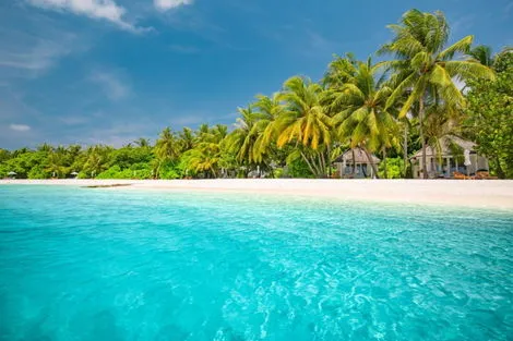 Hôtel Lux* South Ari Atoll Resort & Villas atoll_de_south_ari Maldives