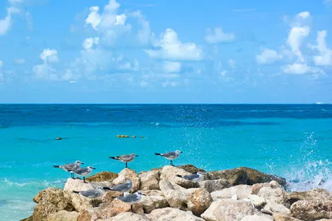 Océan a Cancun
