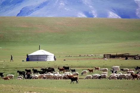 mongolie23