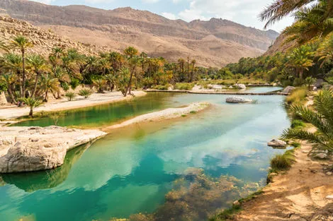 Wadi Bani oasis